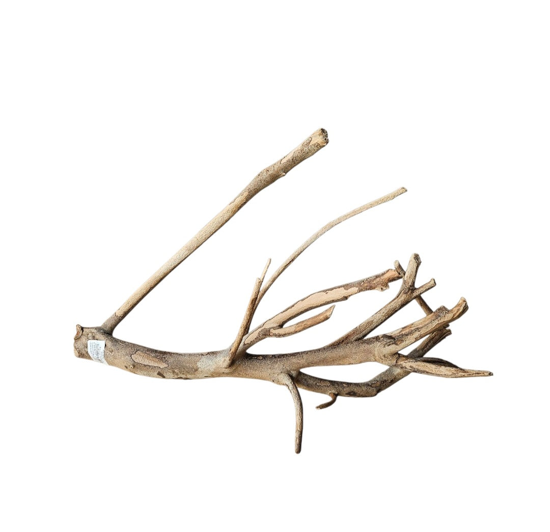 Talawa Holz/Wood 30-45cm   Nr.677