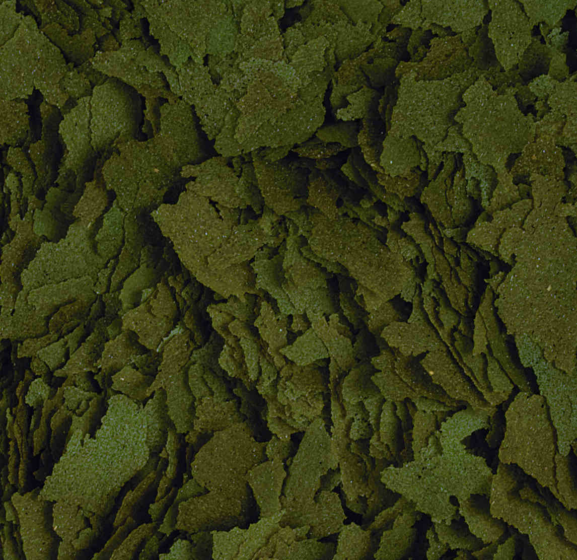 Tropical  Spirulina Flakes