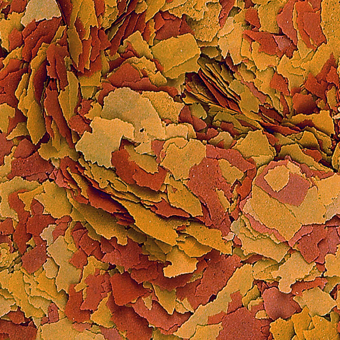 Tropical Vitality & Color Flakes